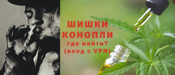 трава Арсеньев