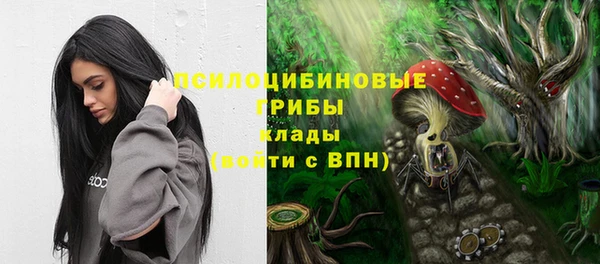 индика Армянск
