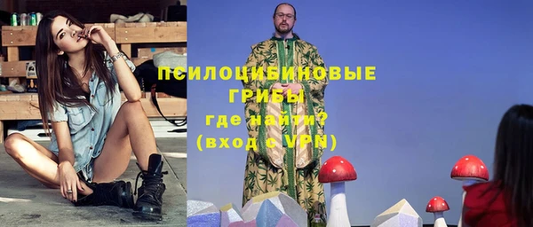 трава Арсеньев
