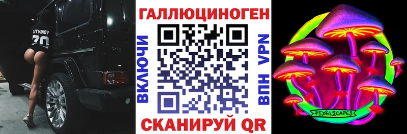 как найти закладки  Городец  Галлюциногенные грибы Psilocybine cubensis 