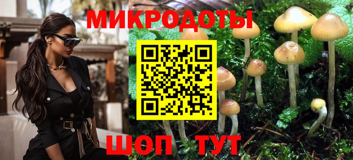 Галлюциногенные грибы Psilocybe  наркошоп  Городец  Вход с VPN 