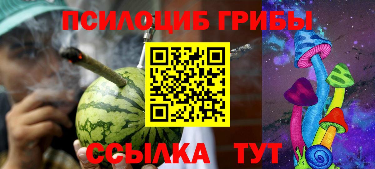 Псилоцибиновые грибы Psilocybine cubensis  Городец 